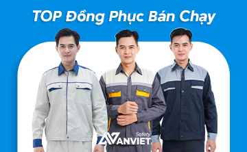 Bảo hộ An Việt