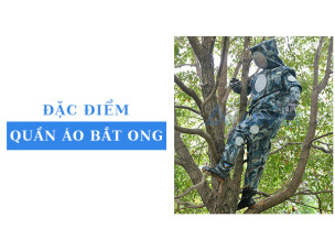 Tìm hiểu quần áo bắt ong vò vẽ: Đặc điểm, lợi ích và câu hỏi thường gặp