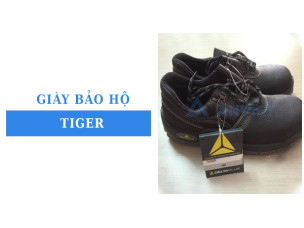 Giày bảo hộ Tiger: Thông tin cần biết trước khi quyết định lựa chọn sản phẩm