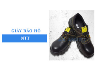 Giày bảo hộ NTT của nước nào? Đặc điểm cấu tạo và các dòng giày phổ biến