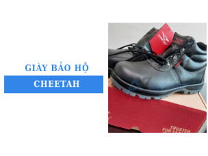 Giày bảo hộ Cheetah: Đặc điểm, tính năng và lưu ý khi chọn mua
