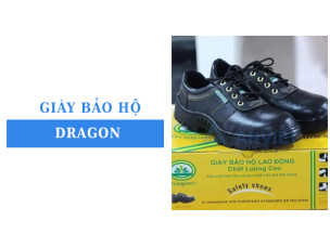 Giày bảo hộ Dragon: Đặc điểm thương hiệu và các sản phẩm nổi bật