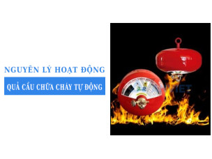 Nguyên lý hoạt động quả cầu chữa cháy tự động và mẹo sử dụng hiệu quả