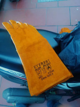 Trương Ánh Dương