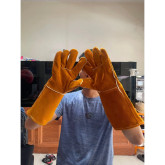 Trương Nhã Phương