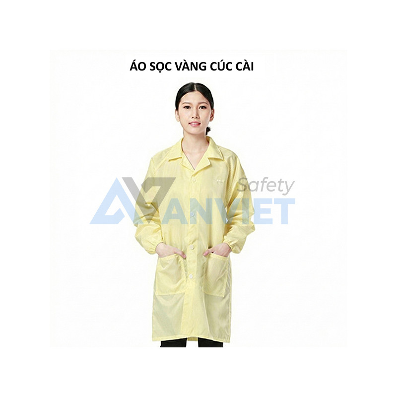 Màu vàng cúc cài