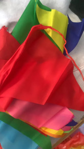 Trần Thị Thu Trang