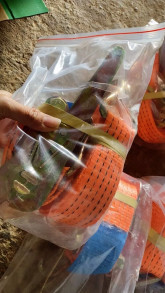 Nguyễn Tiến Dũng