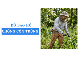 Bảo hộ chống côn trùng khi làm việc ngoài trời gồm những gì?