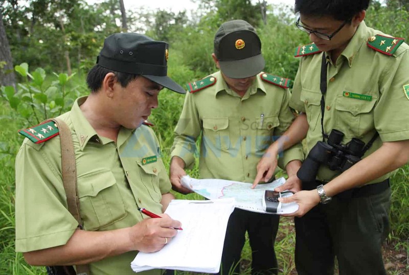 Đồng phục kiểm lâm bảo vệ cơ thể, tăng tính chuyên nghiệp.