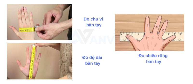 Hướng dẫn đo kích thước bàn tay khi lựa chọn găng tay bảo hộ.