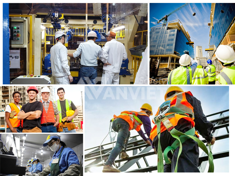 Đối tượng bắt buộc có chứng chỉ hành nghề an toàn lao động.