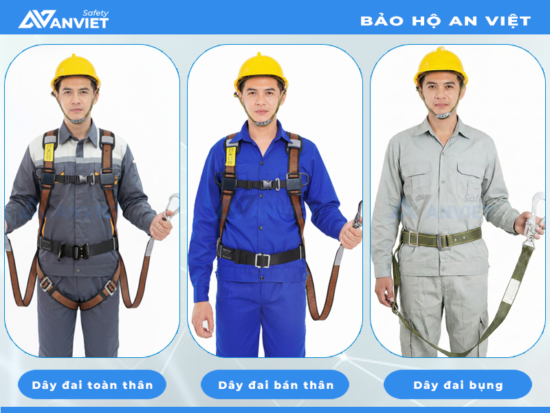 Các loại dây đai an toàn phổ biến trên thị trường.