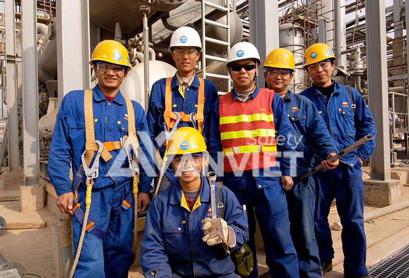 Trang bị và quản lý thiết bị bảo hộ lao động (PPE).