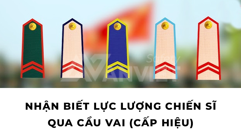 Cầu vai trong đồng phục của lực lượng trong quân đội.