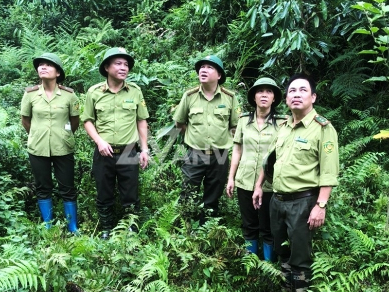 Đồng phục kiểm lâm tiêu chuẩn.